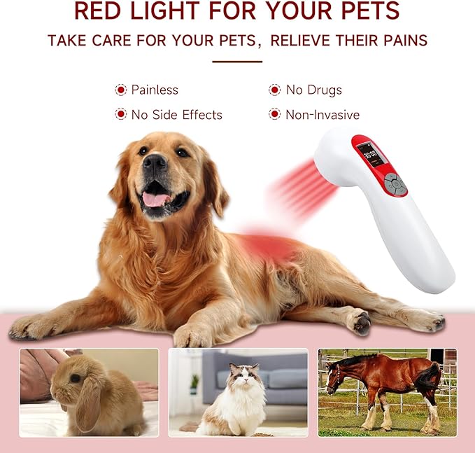 Handheld Red Light Therapy Device for Dogs and Man, LLLT Laser Light Therapy for Pets Pain Relief, Joint Muscle Knee Wrist Ankle, 5000mAh Large Capacity Rechargeable with 5 * 808nm & 10 * 650nm