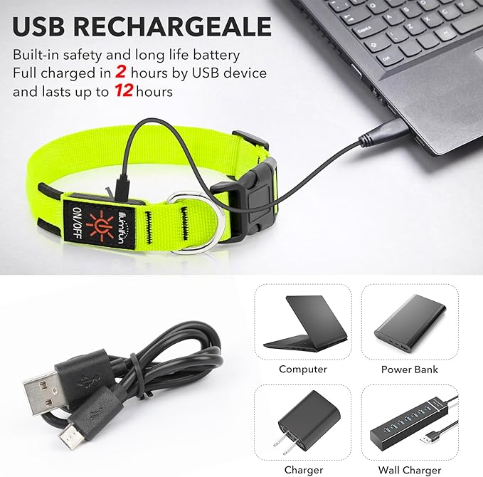 Illumifun Light Up Dog Collar, USB Rechargeable LED Dog Collar Glow in The Dark，Adjustable Pet Safety Lights for Night Walking (Green, Medium)