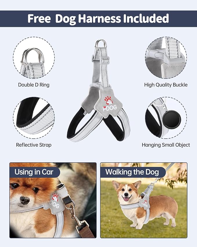 Dog Car Seat for Dogs - Waterproof Dog Booster Seat for Car with Storage Pockets, Clip-On Safety Leash and Soft Plush Cushion, Pet Travel Carrier Bed with Durable Belts up to 25 lbs (Grey, Medium)