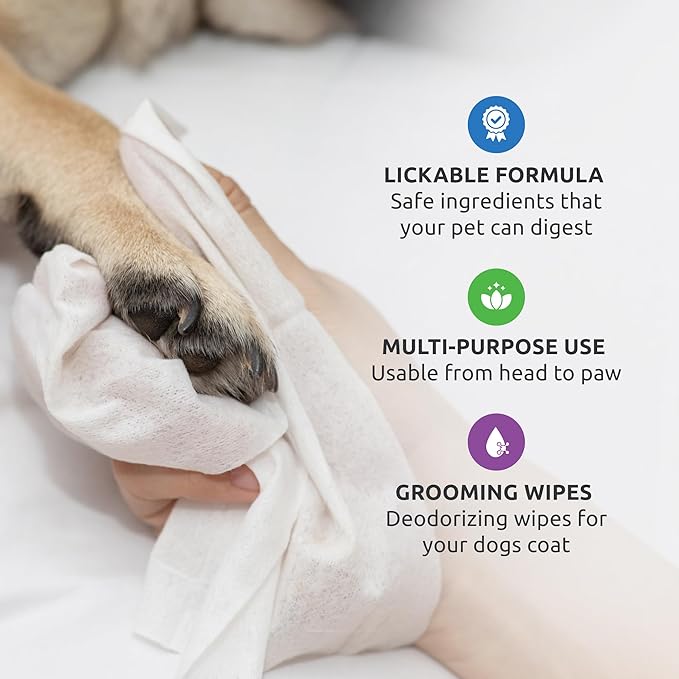 Protex PawZ SaniPaw Odor Eliminating Dog Paw Wipes (60 Wipes) Cleansing Dog Grooming Wipes, Simple & Safe Lickable Ingredients - Paw Cleaner for Dogs, Pet Wipes