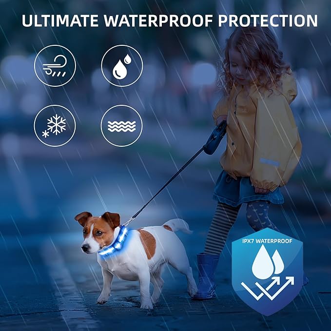 Super Bright LED Dog Collar - Fully Waterproof & Adjustable Glow Collar - USB-C Rechargeable for Night Walking, Safety - Flashing Lighted Collar for Dogs(Blue,Small)