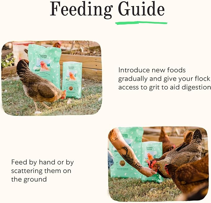 Grubblies - Black Soldier Fly Larvae for Chickens - Chicken Treats Grown in The US and Canada - for Strong Eggshells and Healthy Feathers - Grubblies Hometown Harvest 1LB