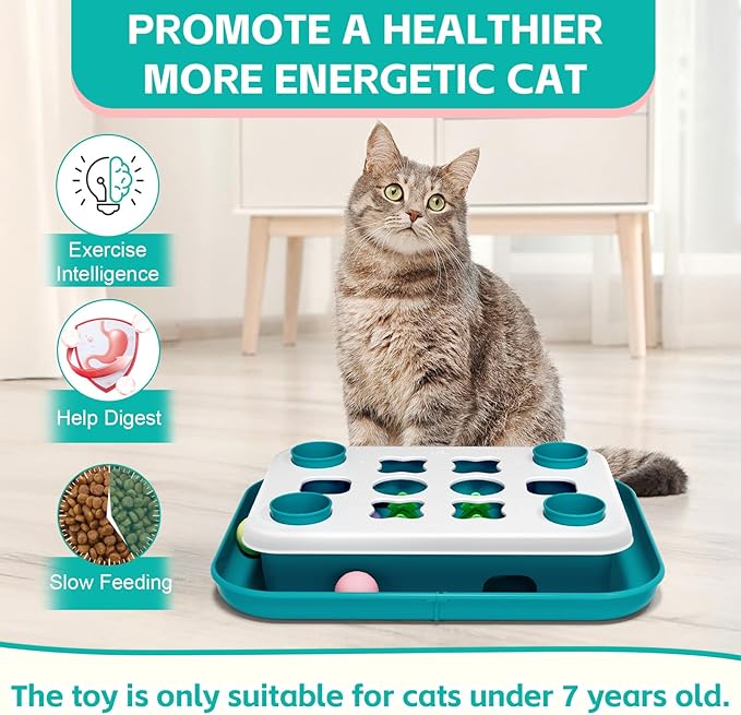 Cat Puzzle Toys for Indoor Cats Mind Game Ball Track Kitten Food Puzzles Toy Sensory Activity Cat Enrichment Toys Treat Feeder Entertainment Mental Stimulation Kitty Gift