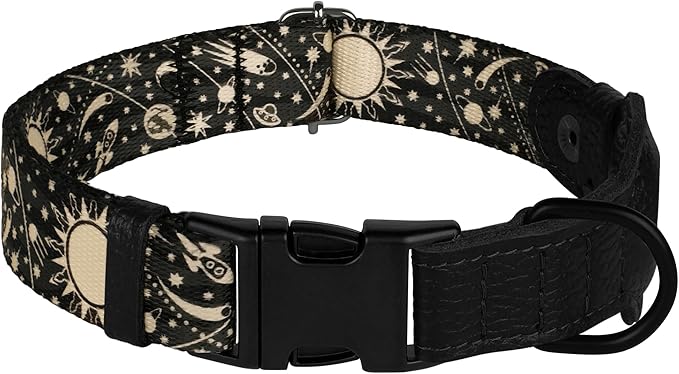 AirTag Dog Collar with Metal Buckle - Soft Leather Printed Nylon Dog Collar with Apple AirTag Holder - Cute Tracking GPS Pet Collars for Girl Boy Small Large Dogs (M, 14"-18" Neck Fit, Space)