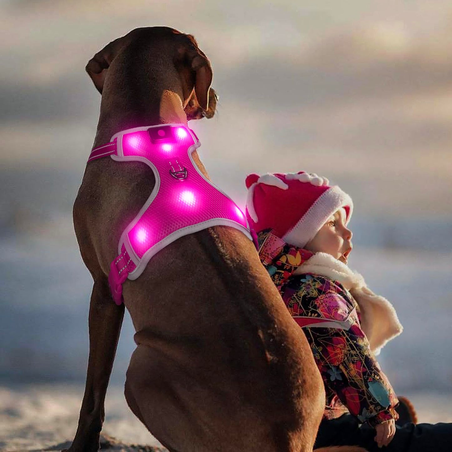 BSEEN Light Up Dog Harness - No Pull LED Dog Harness Rechargeable Glow in The Dark Lighted Pet Safety Vest for Small Medium Large Dogs, Flashing Dog Lights for Night Walking (Pink, Medium)