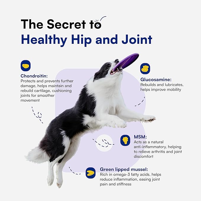 Advanced Hip & Joint Supplement for Dogs - 90 Soft Chews with Glucosamine, MSM, Chondroitin & Multivitamins - Helps Mobility, Flexibility & Arthritis Relief - Made with Pasture-Raised Chicken