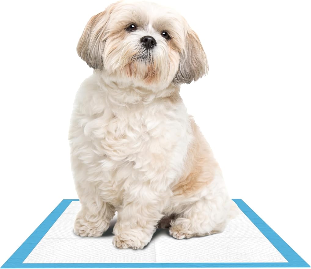 Inspire White Disposable Underpads for Incontinence Bed Pads or Chair Pads | Incontinence Pads for Potty Training Pee Pads for Babies and Elderly | Puppy Pads Pee Pads for Dogs (150, 23" x 36")