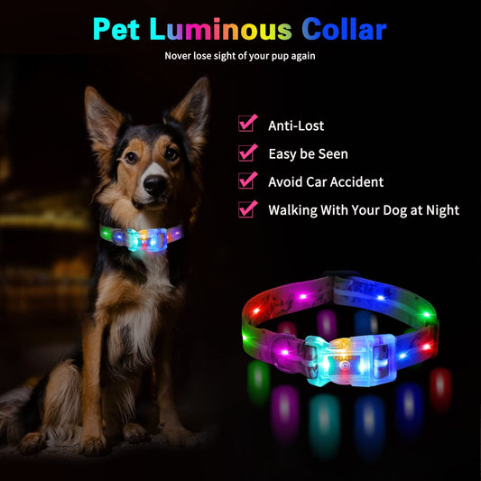 YUSHANG Light Up Dog Collars,LED Dog Collar Rechargeable Waterproof,2-in-1 Buckle Type Glow Collar for Medium Large Dogs- M(10-17 * 0.98 inch can be Crop