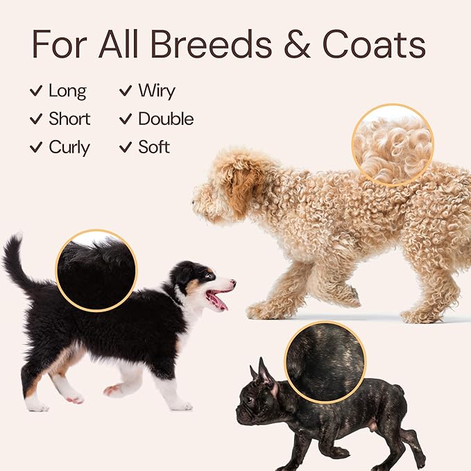 Sunny & Honey 4-in-1 Dog Shampoo & Conditioner with Long-Lasting Perfume Mist - 16 fl oz Shampoo & 8 fl oz Mist - Moisturizing, Deodorizing, Detangling Body Wash - Good-Smelling Dog Bath