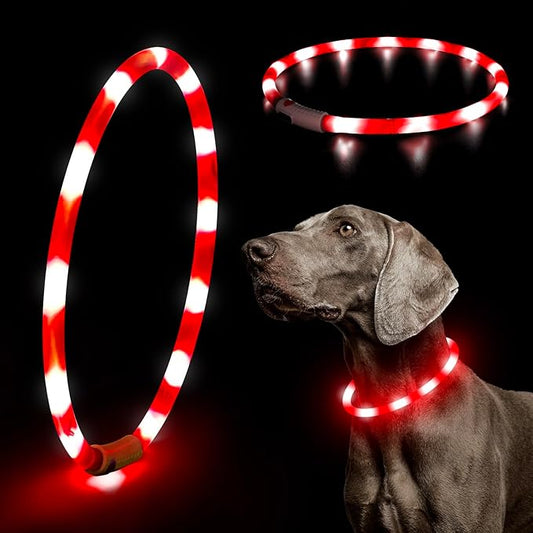 HIGO Light Up Dog Collar, Lightweight Silicone LED Dog Collar, USB Rechargeable Dog Collar Light for Dogs Cats Walking at Night (Red-Silicone)