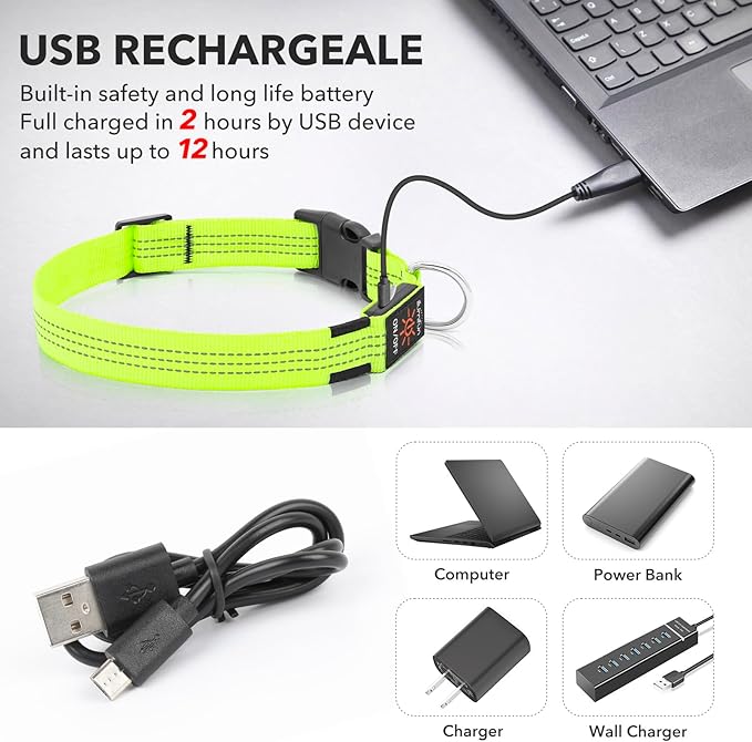 Illumifun LED Dog Collar, Rechargeable Light Up Collars, Reflective Safety Collar Light for Nighttime Walking Camping (GreenⅢ, Medium)