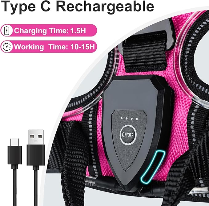 Taglory Light Up Dog Harness, Rechargeable No Pull Dog Vest with 3 Lightning Modes, Reflective Dog Harness with 2 Leash Clips & 4 Adjustable Slide Strips for Small Dogs, Hotpink-Hotpink, S