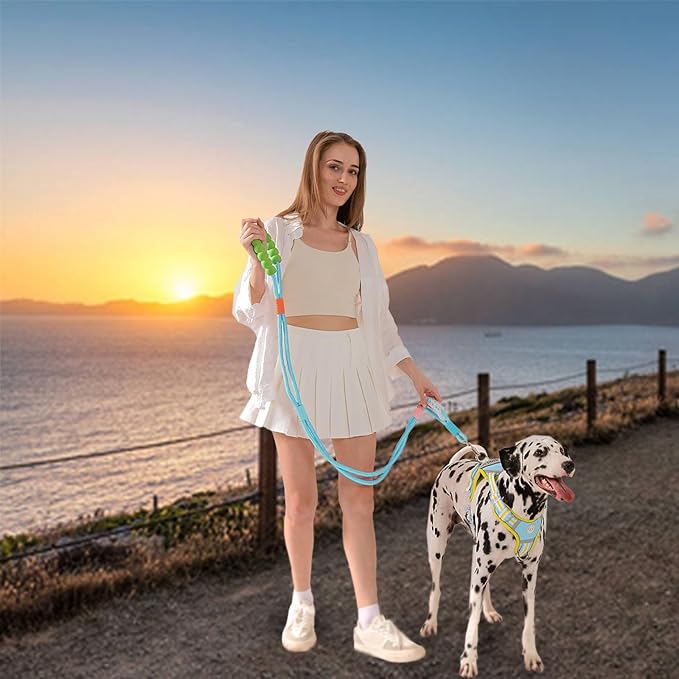 JSXD 5 FT Heavy Duty Dog Training Leash - Double Handle Comfortable Padded Hands Free, Adjustable Crossbody Waist for Small Medium Large Dogs (Blue)