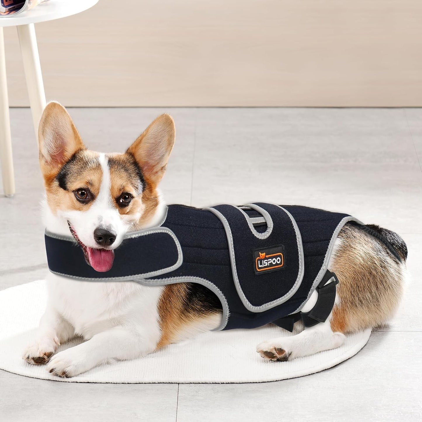 IVDD Dog Back Brace | Post-Surgery Support & Arthritis Relief | Vet-Recommended Spinal Support for Dogs | Breathable Fabric with Support Rods & Adjustable Straps (Size XL)