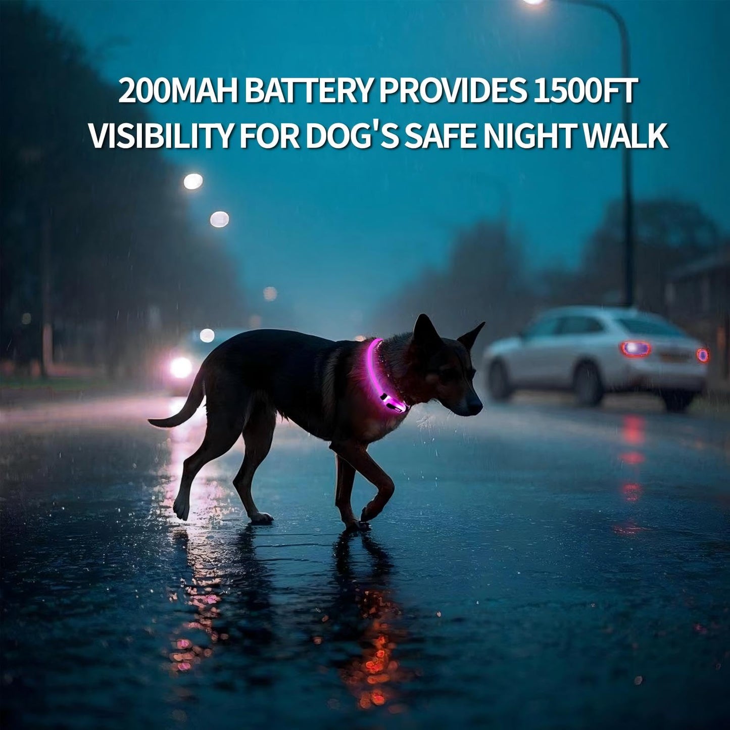 Multi-Color LED Dog Collar Rechargeable - Adjustable Glowing Collar for Most Dogs, Waterproof Reflective & Long-Lasting 200mAh Battery by Chengnuobo