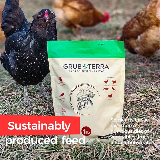 GrubTerra Golden Dried Black Soldier Fly Larvae - Premium Supplement to Increase Egg Production for Hen Treats, Bird Feed, Chicken Feeder, Pet Bird Food, and Wildbird Feed, Never from China! (2lb)