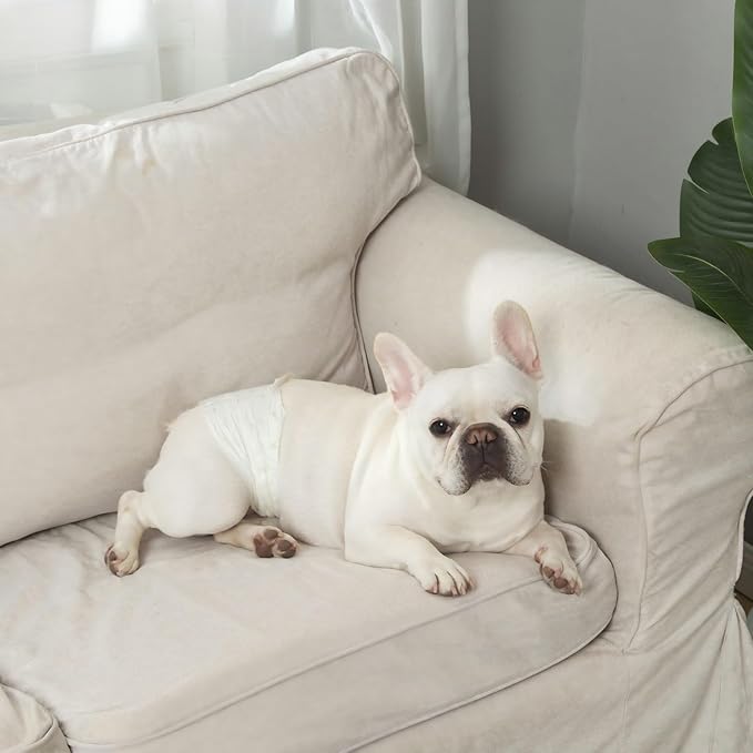 IMMCUTE Dog Diapers Male Large 50 Ct, Disposable Male Dog Wraps with Wetness Indicator, Super Absorbent Puppy Diapers Male, Comfortable Doggie Diapers for Excitable Urination, Incontinence