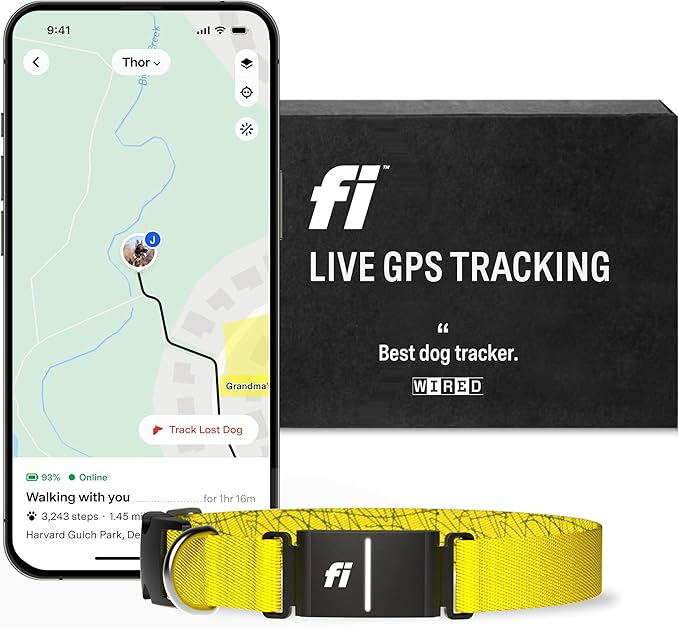 Fi Series 3 Smart Dog Collar - GPS Dog Tracker and Activity & Health Monitor, Waterproof, LED Light, Escape Alerts, Nationwide Coverage [Free 1 Year Membership] (Yellow, Large)
