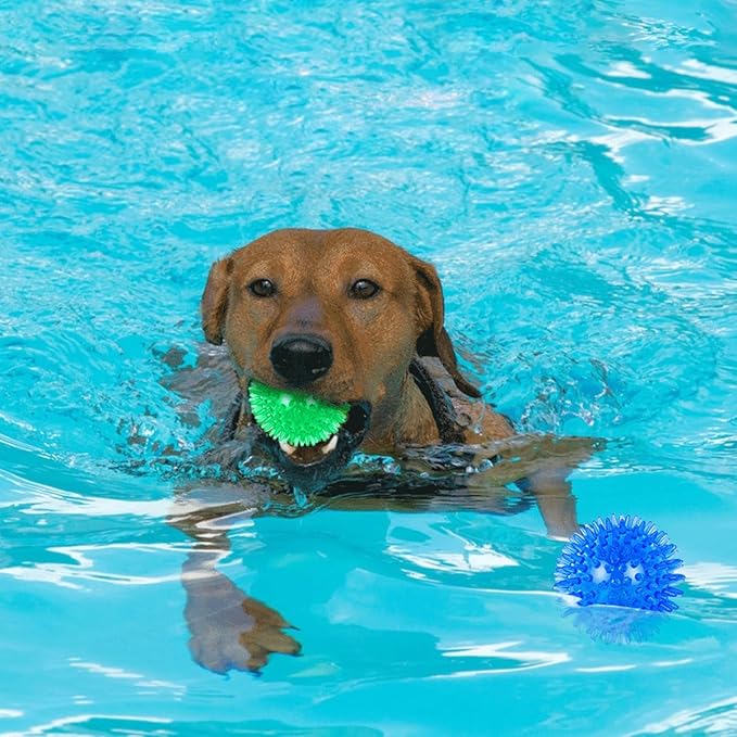 Dog Toys - Squeaky Balls for Small & Medium Dogs (3 Pack), Clean Teeth & Train