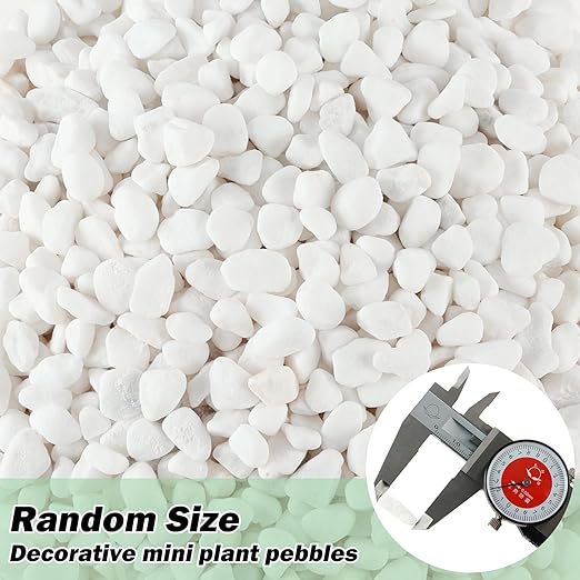 11 Lbs Natural River Rocks for Plants 0.3” Small Decorative Pebbles for Plant Pot Landscaping Garden Stones White Aquarium Gravel, Mini Vase Filler, Terrarium Rocks in Bulk, Home Decor