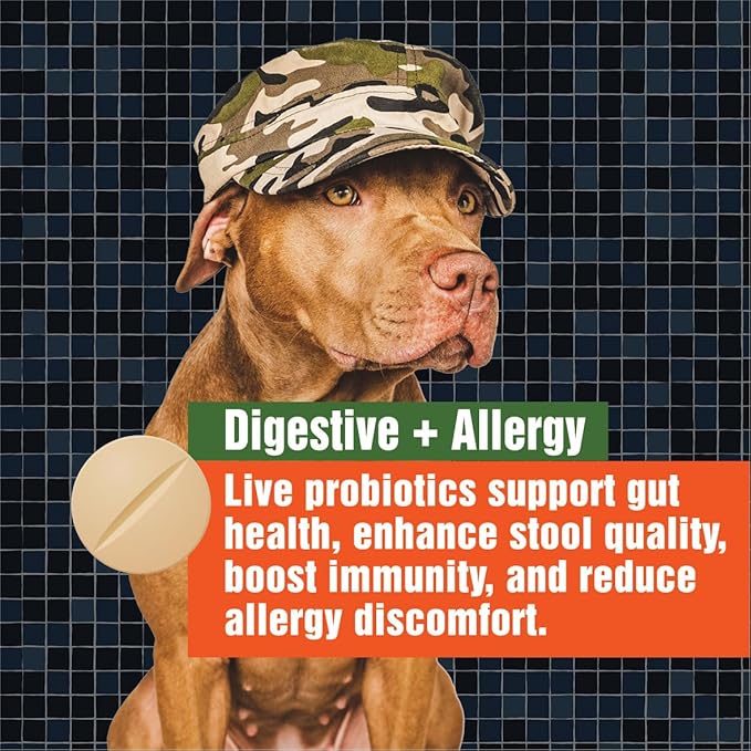 Army Soldier Owned Dog Probiotics for Yeast, Itchy Skin & Itchy Ears, Dog Allergy Relief, Digestive Health, Occasional Diarrhea & Immune Support, 60 Yummy Chewables