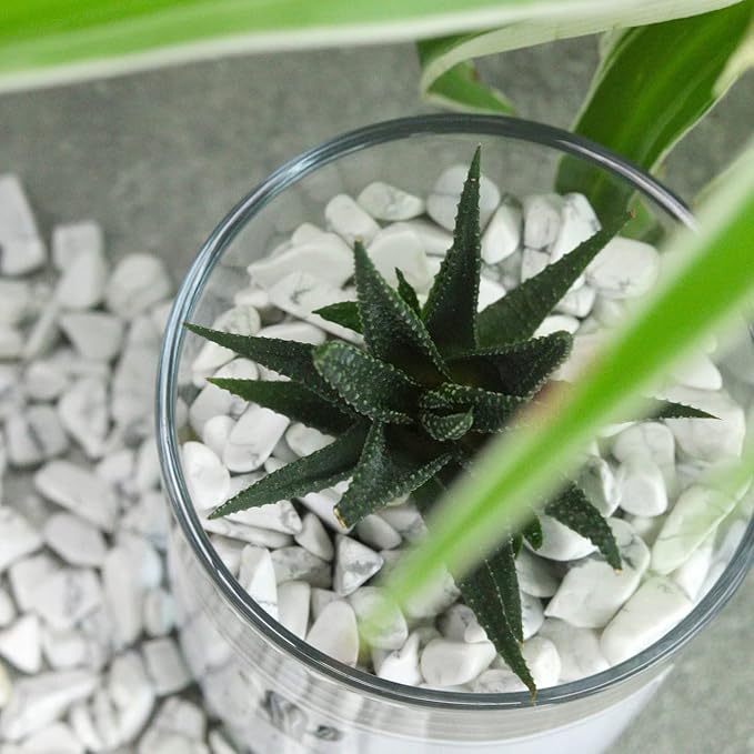 Howlite Aquarium Gravel Rocks Natural Tumbled Healing Crystal Chips Bulk Gemstones Crushed Stones for Fountain Vase Filler Planters Decorative Fish Tank Potted Reiki Energy Balancing 0.45lb