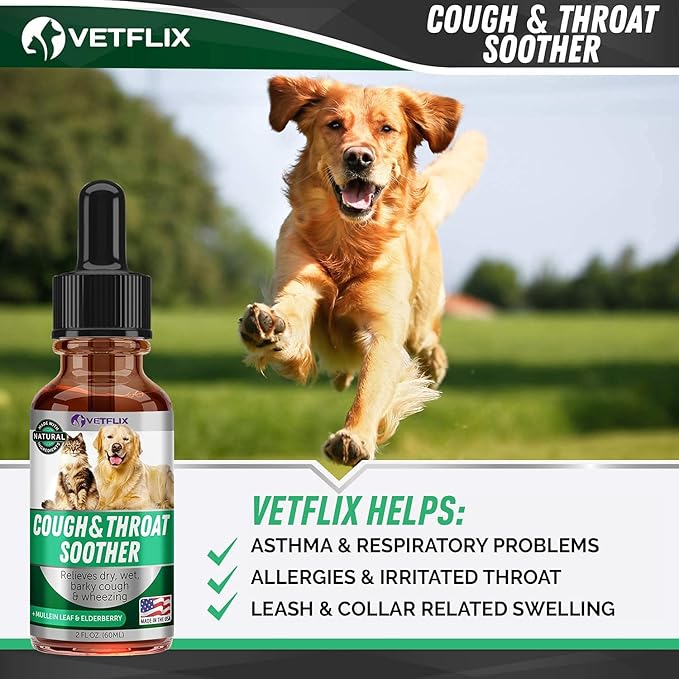 Kennel Cough Treatment for Dogs & Cats - Made in USA - Dog Allergy & Cat Asthma Relief - Mullen Leaf & Elderberry Blend - Dry, Wet & Barky Cough Relief for Dogs & Cats - All Breeds & Sizes - 2 Fl Oz