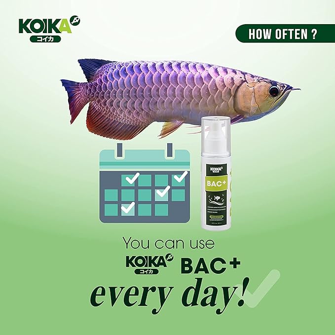 KOIKA BAC+ Aquarium Probiotics, Pleasant Smell, Disease Resistance, Immunity Boosting (BAC+ (New Formula), 105ml)