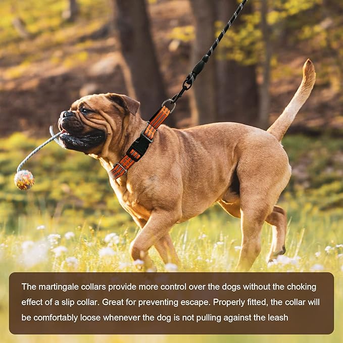 Hikiko Martingale Dog Collars Reflective Nylon Dog Collar with Quick Release Buckle Adjustable Training No Slip Dog Collar (Large, Orange)