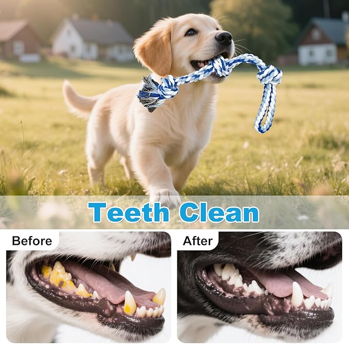 Interactive Dog Ball, Interactive Dog Toys, Moving Dog Ball with Touch Activated for Small Medium/Puppy Dogs, Moving Dog Toys with Rope for Boredom Relief Daily Training, USB Rechargeable