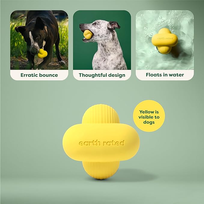 Earth Rated Dog Ball, Interactive Fetch Toy for All Breeds, Comes in Multiple Sizes, Made with Natural Rubber, Perfect for Indoor and Outdoor Use, Large, Yellow