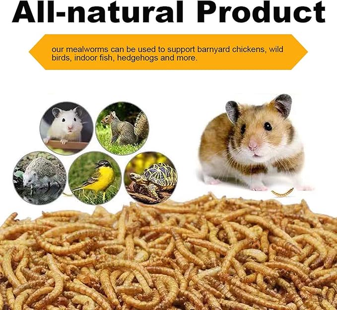 High-Protein Dried Mealworms 1Lb for Birds, Chickens, Turtles, Fish, Hamsters and Hedgehogs, Non-GMO and Chemical Free, All Natural Animal Feed