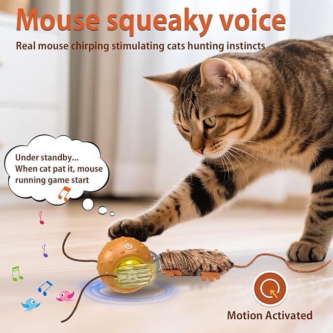 Interactive Cat Toys Ball Mouse Chirping Game Motion Activated Play Cat Ball Fast Rolling on Carpet, for High Energy Kittens