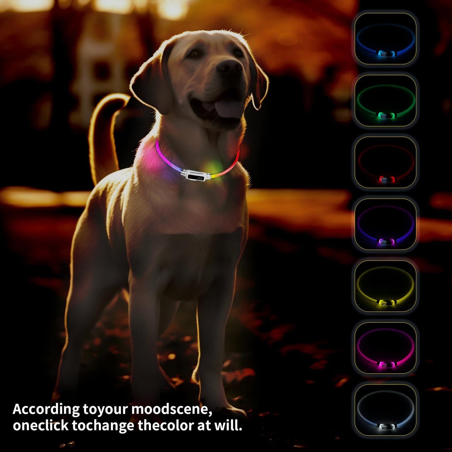 Multi-Color LED Dog Collar Rechargeable - Adjustable Glowing Collar for Most Dogs, Waterproof Reflective & Long-Lasting 200mAh Battery by Chengnuobo