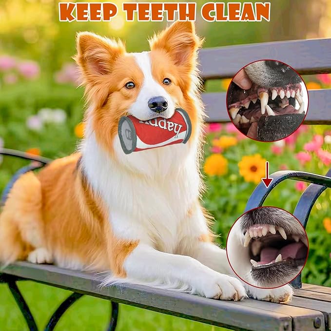 Squeaky Dog Toys Birthday Toy,Dog Toy Cake, No Stuffing pp Cotton for Large, Medium and Small Breeds，Dog Squeaky Balls Inside, Puppy Birthday Gifts