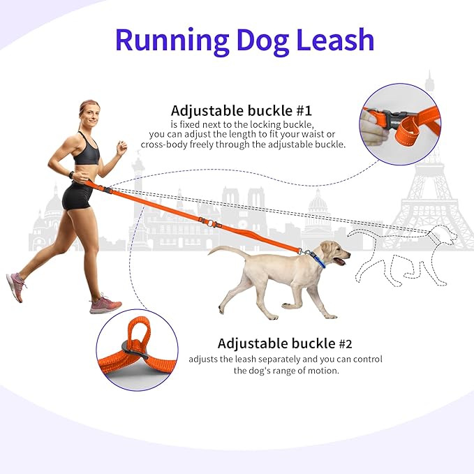 Hands-Free Dog Leash with Adjustable Length 6-9FT + Dual Padded Handles Reflective Safety for Walking, Jogging & Training | Suitable for Medium to Large Dogs & Puppies Orange-L
