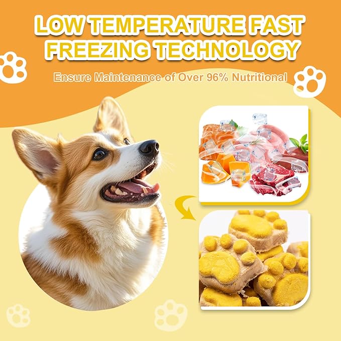 Freeze Dried Cat & Dog Treats with Pumpkin - Natural Chicken, Salmon, Beef Liver & Fish Oil for Digestion Gut Health (14 pcs)