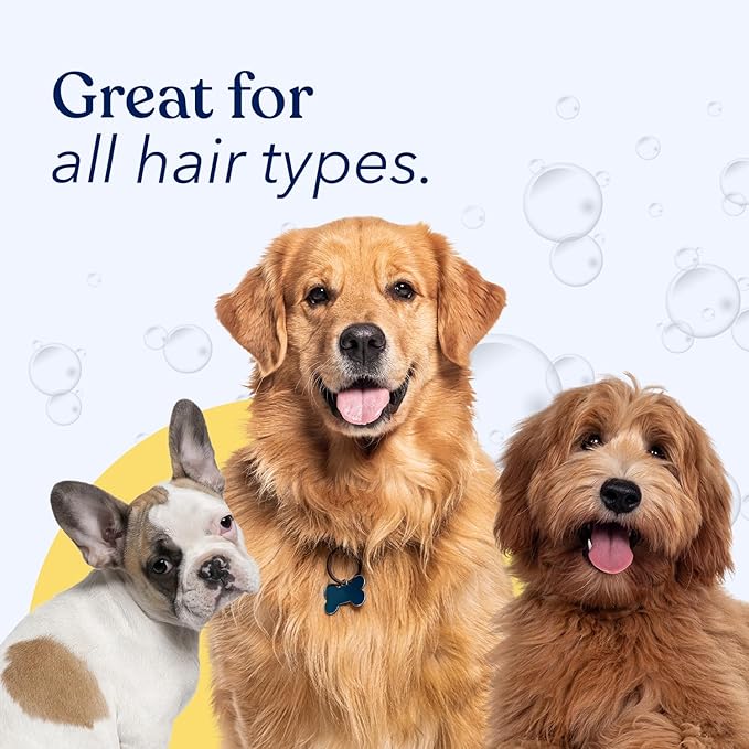 Honest Paws Dog Shampoo and Conditioner - Premium Dog Wash for Allergies and Dry, Itchy, Moisturizing for Sensitive Skin - Sulfate Free, Plant Based, All Natural - Coconut & Mango -16 Fl Oz