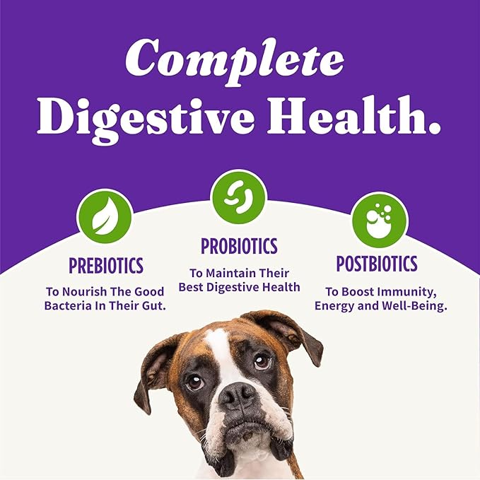Halo Holistic Plant-Based Recipe With Superfoods, Complete Digestive Health, Vegan Dry Dog Food Bag, Adult Formula, 10-lb Bag