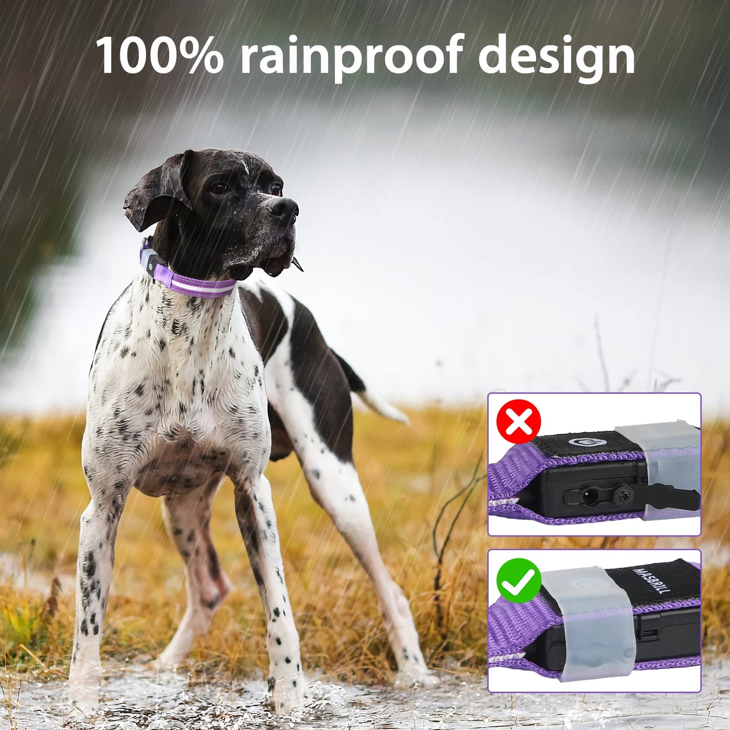 MASBRILL Led Dog Collar, Rechargeable Light Up Collar with Water-Resistant Flashing Glow for Dogs