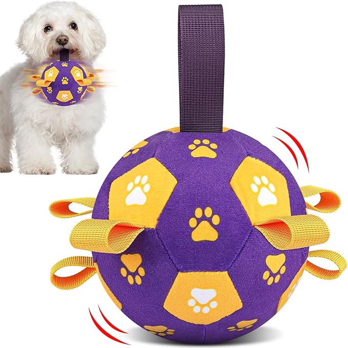 QDAN Interactive Dog Toys, Squeaky Moving Ball Toy with Remote Control, Music Modes Bouncing Ball for Dogs, Rechargeable Dog Toys to Keep Them Busy, Puppy Toys for Small Medium Large