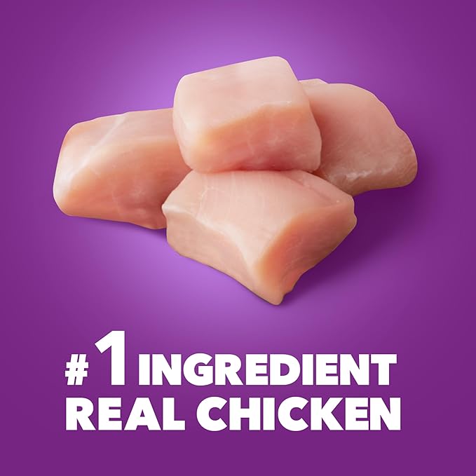 IAMS Advanced Health Skin & Coat Adult Dry Dog Food Chicken and Salmon Recipe, 13.5 lb. Bag