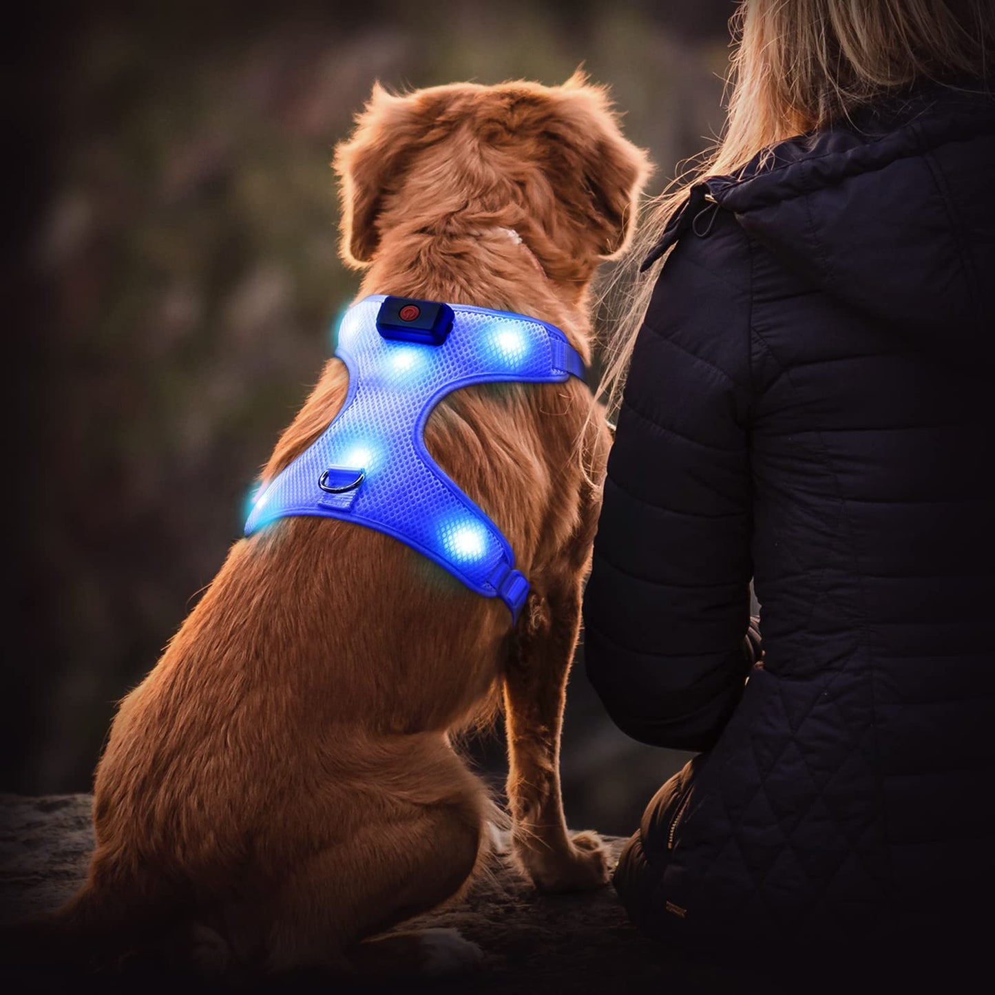 Flashseen LED Dog Harness, Lighted Up USB Rechargeable Pet Harness, Illuminated Reflective Glowing Dog Vest Adjustable Soft Padded No-Pull Suit for Small, Medium, Large Dogs (Blue, L)