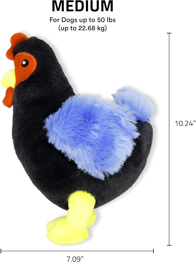 Playology Plush Toys for Dogs | Stuffed Animal Hen | Chicken Scented for Medium Dogs