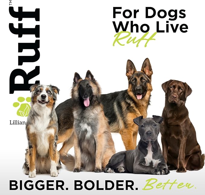 Ruff by Lillian Ruff Deshedding Dog Shampoo | Coconut Lime | Vitamin E, Omega-3, Aloe & Coconut Oil | Relieves Shedding, Itching & Hot Spots | Moisturizing & Deodorizing | Safe for Puppies | USA Made