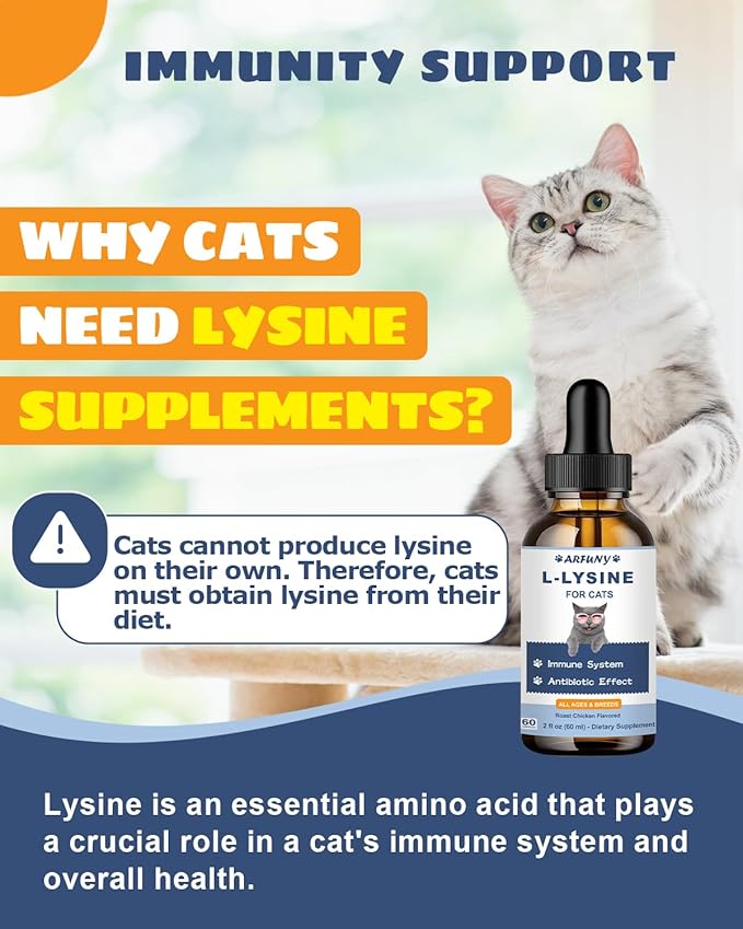 L-ysine Supplement for Cats - Immune Support - 60ML Lysine for Feline Respiratory, Sneezing, Runny Nose, Eye Function - Natural Cat Antibiotic Drops - Roast Chicken Flavor