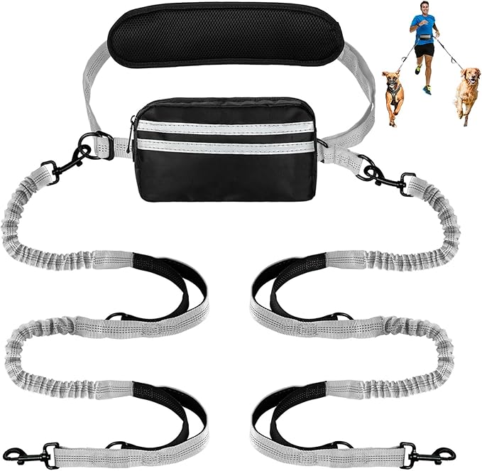 Hands Free Dog Leash with Pouch, Double Leash for Two Dogs, Retractable Bungee with Double Padded Handles, Dog Waist for Dog Walking, Running for Dogs, Dog Walking Accessories