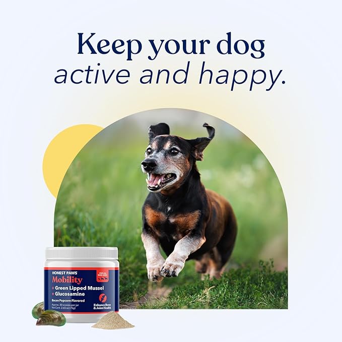 Honest Paws Joint Supplement for Dogs - Supports Mobility, Hip & Joint Health, Eases Stiffness - Glucosamine, Green Lipped Mussel, Fish Oil, Chondroitin Sulfate, MSM, Vitamin C