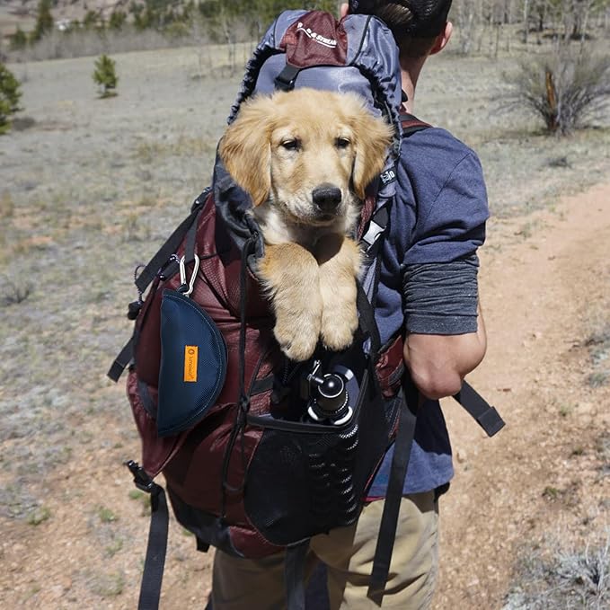 LumoLeaf Collapsible Dog Bowls, Large 68oz/80oz Lightweight Foldable Travel Bowl 10 Cups, Portable Water and Food Bowls for Pets Dogs with Zipper (White)