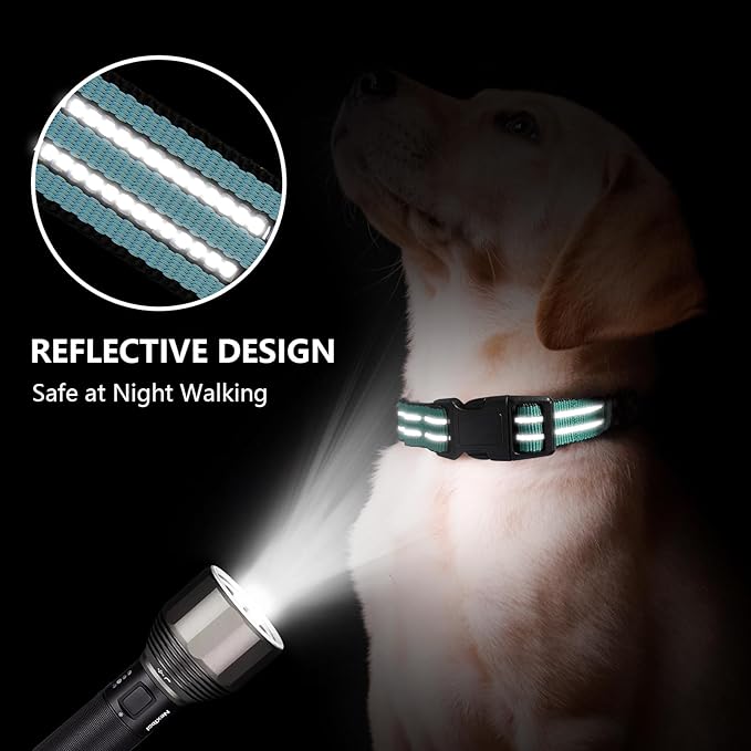 Hikiko Martingale Dog Collars Reflective Nylon Dog Collar with Quick Release Buckle Adjustable Training No Slip Dog Collar (Small, Sky Blue)